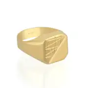 Altın Erkek Yüzüğü 2